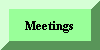 View Meeting Summaries
